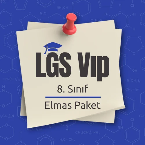 LGS (8. Sınıf) VIP (Elmas) Paket