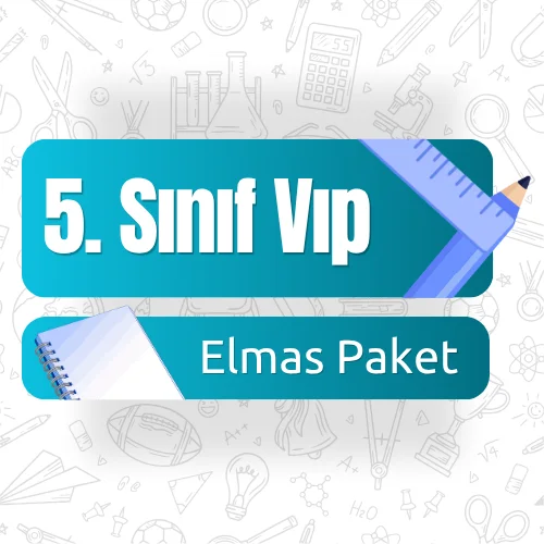 5. Sınıf VIP (Elmas) Paket