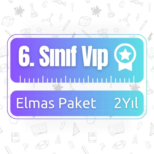6. Sınıf 2 Yıllık VIP (Elmas) Paket