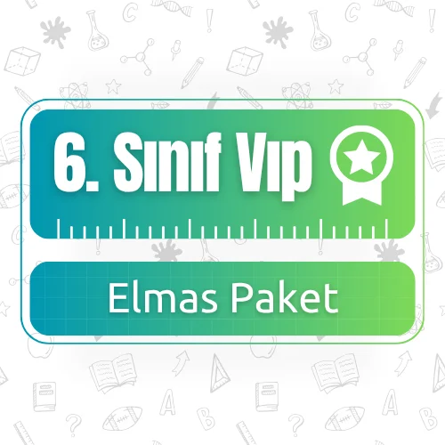 6. Sınıf VIP (Elmas) Paket