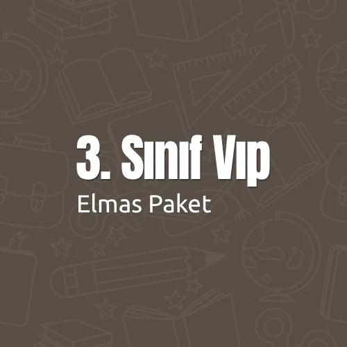 3. Sınıf VIP (Elmas) Paket