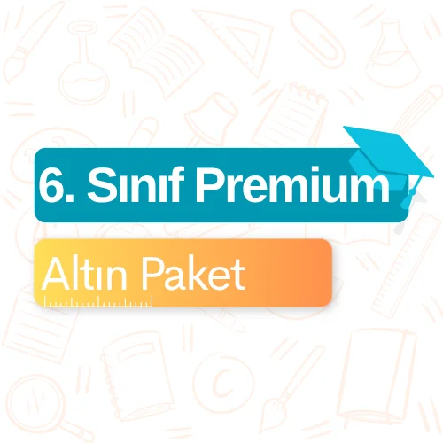 6. Sınıf Premium (Altın) Paket