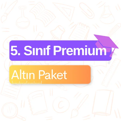 5. Sınıf Premium (Altın) Paket