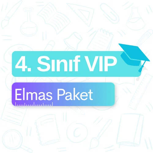 4. Sınıf VIP (Elmas) Paket
