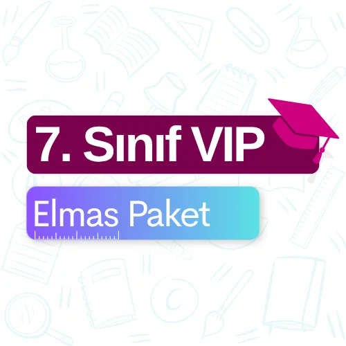 7. Sınıf VIP (Elmas) Paket