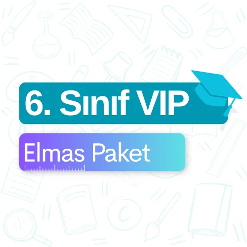 6. Sınıf VIP (Elmas) Paket