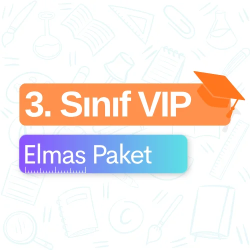 3. Sınıf VIP (Elmas) Paket