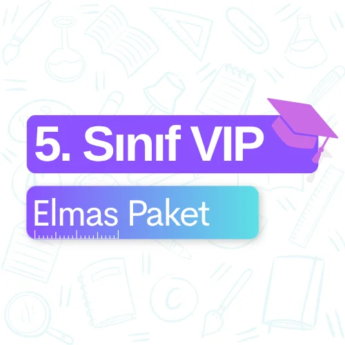 5. Sınıf VIP (Elmas) Paket