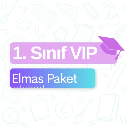 1. Sınıf VIP (Elmas) Paket
